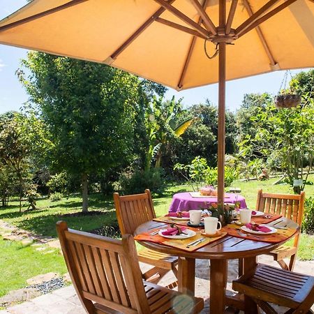Готель Passadhi Ayurveda & Yoga Retreat Вілья-де-Лейва Екстер'єр фото